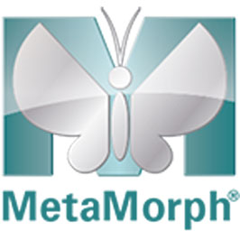 🔹 Metamorph Imaging Software wingrayd METAMORPH